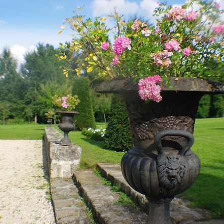 Chateau De Pommeuse Exteriér fotografie