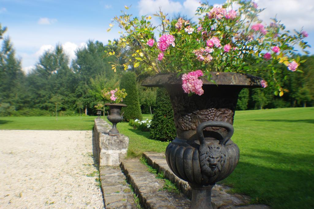 Chateau De Pommeuse Exteriér fotografie